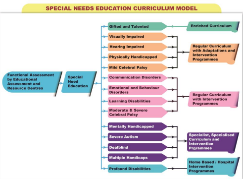 learners with special needs new curriculum model in kenya