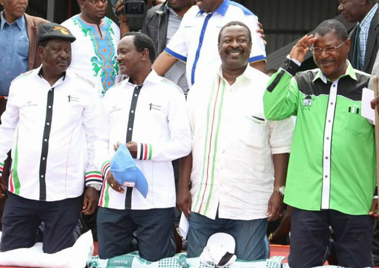 Raila Odinga in Kiambu County Statement on what NASA coalition party will offer
