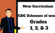 Understanding CBC Schemes of work for Grade One, two and three for new New Curriculum