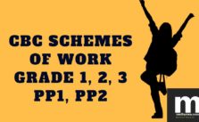 pdf CBC schemes of Work 2018 for Term 3, Grade 1, Grade 2, Grade 3, PP1 and PP2 subjects free