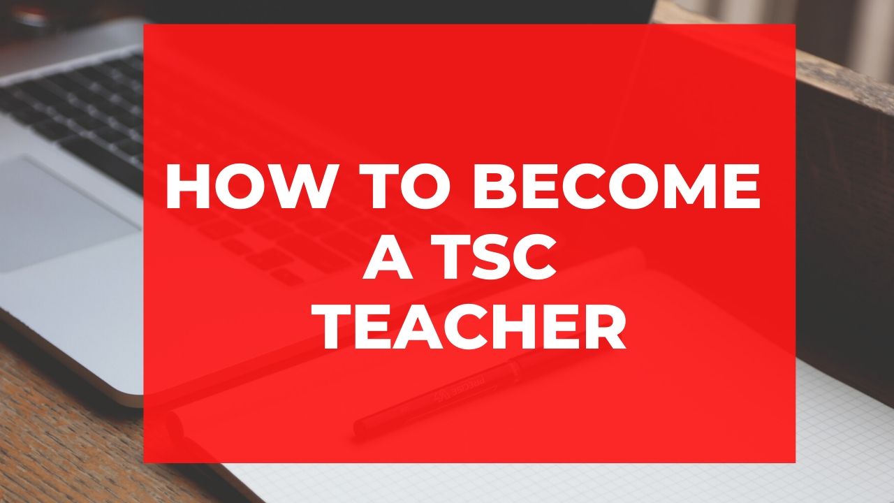A guide on how to become a TSC teacher in Kenya and get TSC number