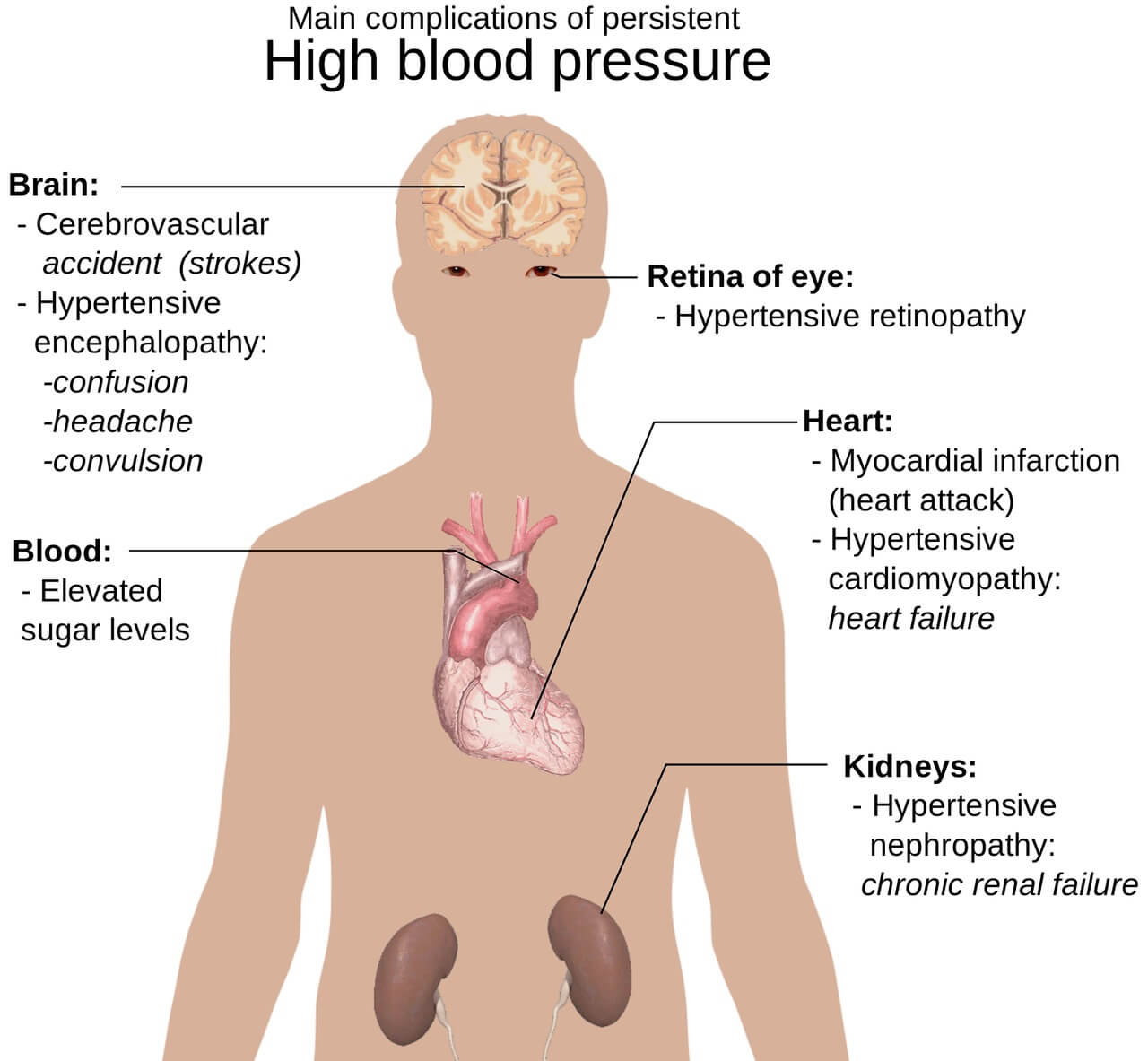 Recommended Foods for Patients with High Blood Pressure