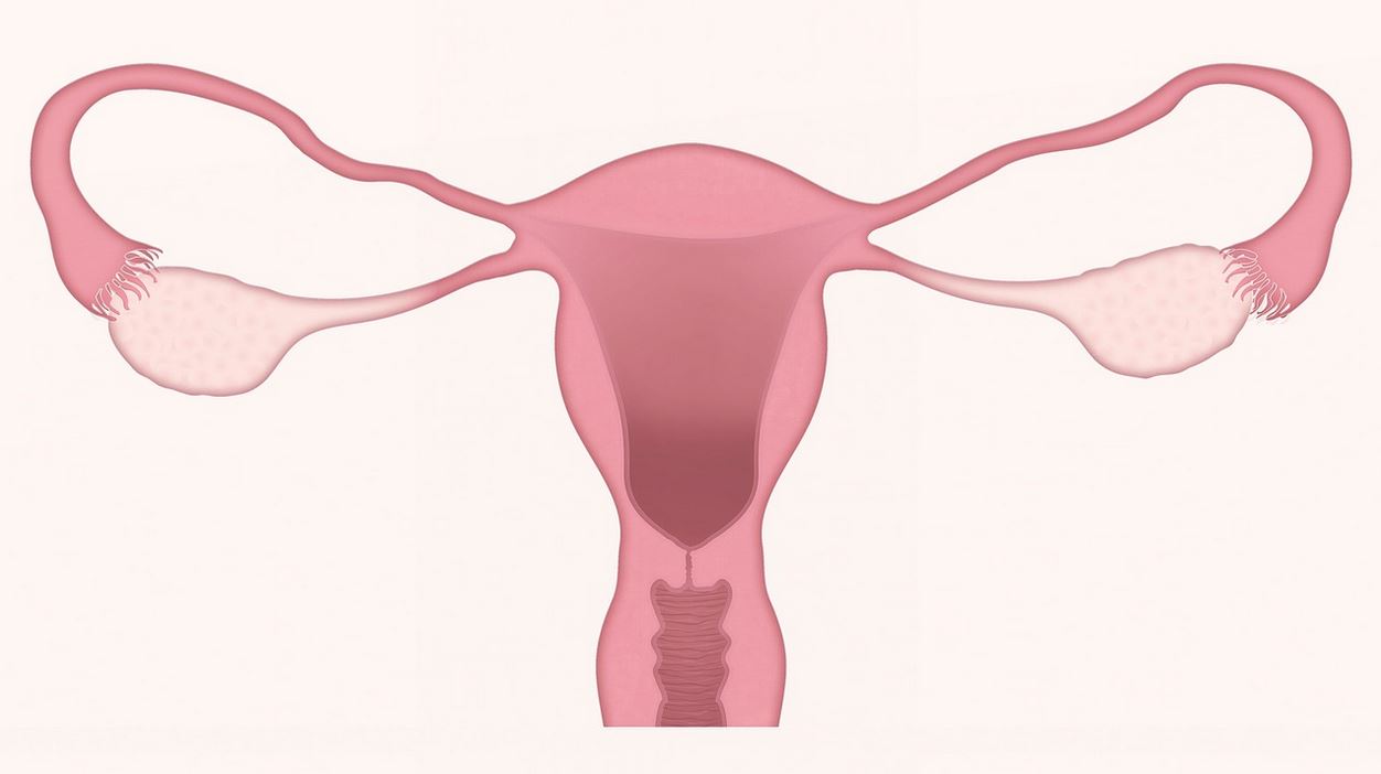 Infertility treatment in Kenya: IVF Egg and sperm Donation