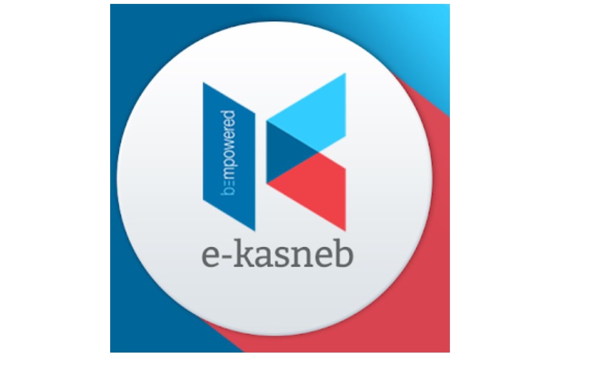 How to download KASNEB cpa exam Timetable from ekasneb passport photo