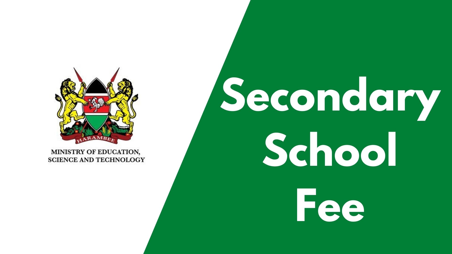 Secondary school fees in kenya and government funding stats