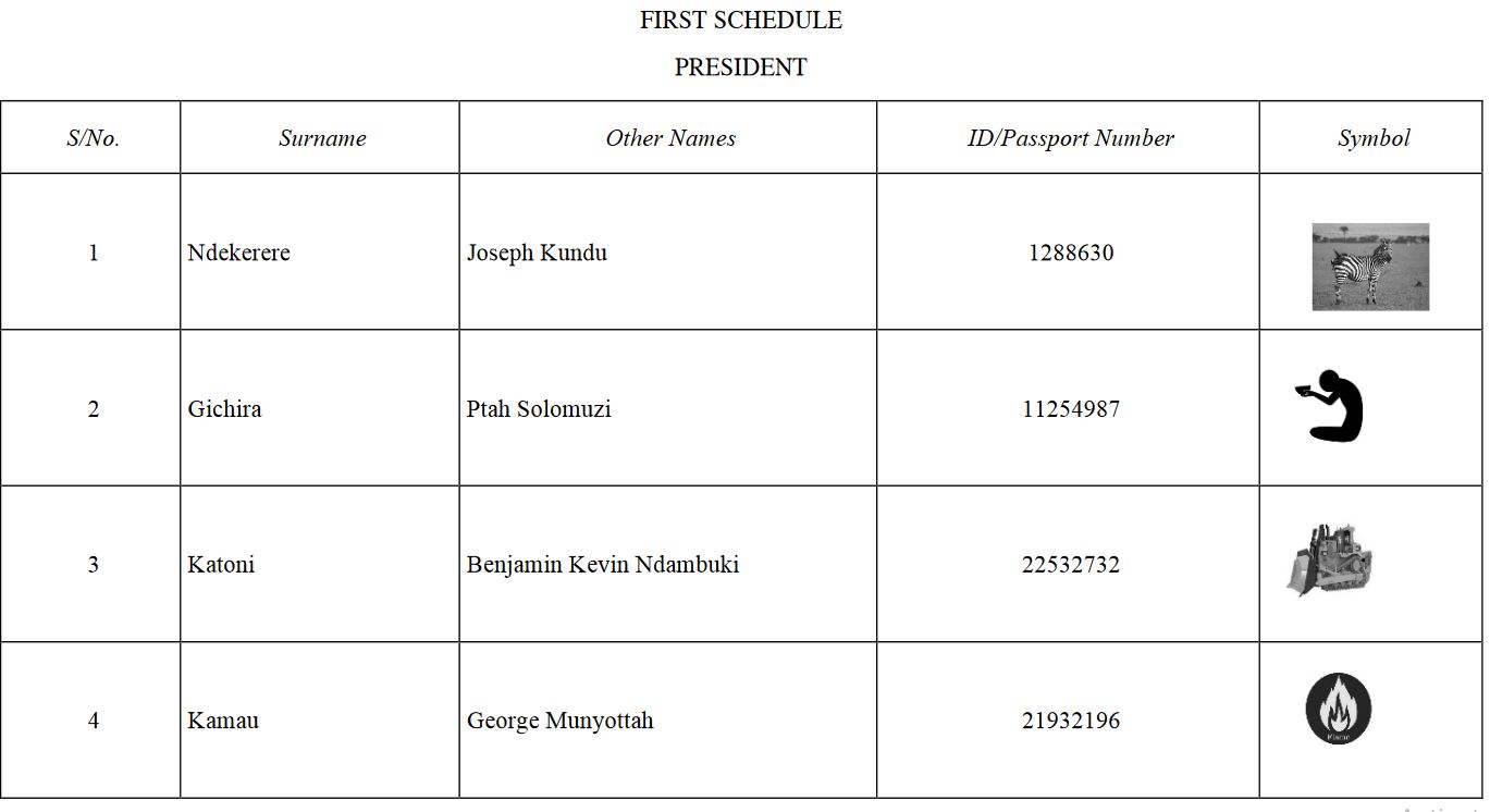 IEBC List of independent candidates contesting for 2022 elections in Kenya