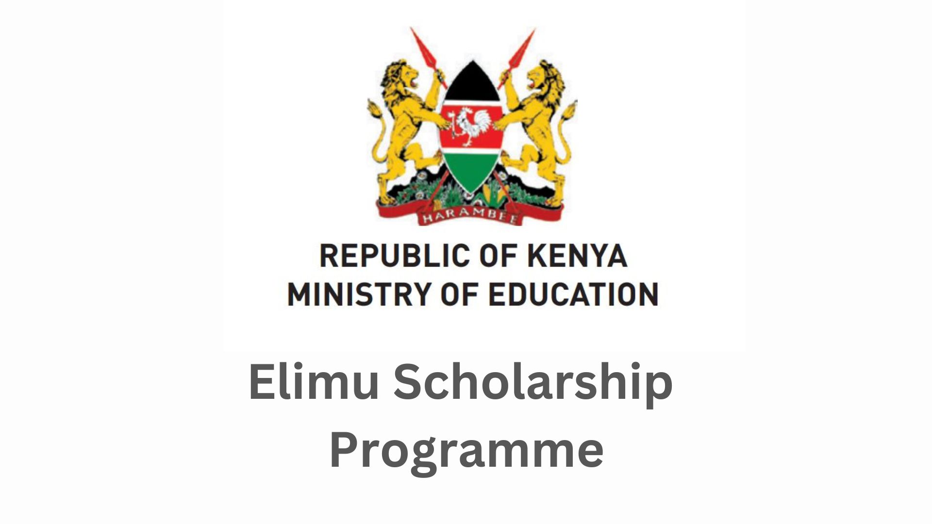 elimu scholarship programme
