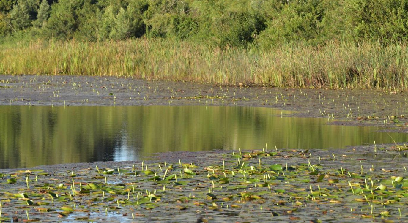 World Wetlands Day Celebration In Kenya